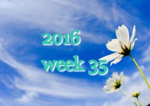 2016week35