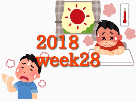 2018week28