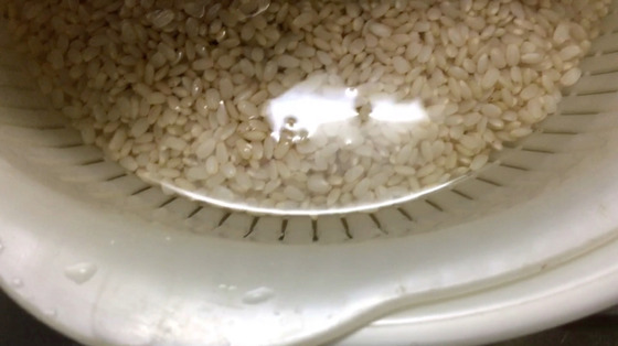 土鍋で玄米を炊く方法ー玄米は一晩水につけておく